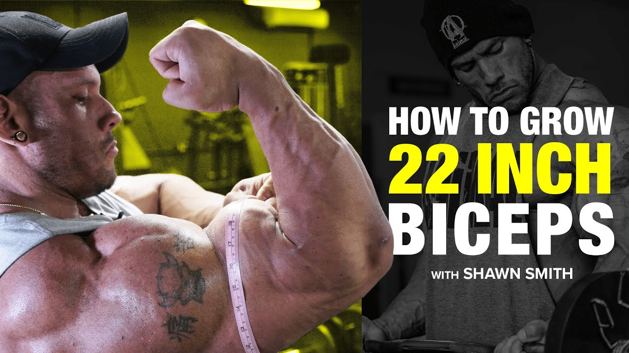 Bicep Blueprint Whats The Average Bicep Size For Men And Women By