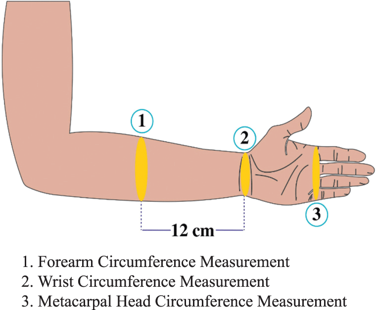 Measure Your Forearm