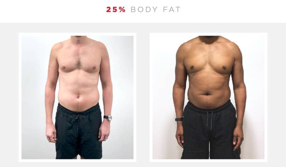 25% body fat