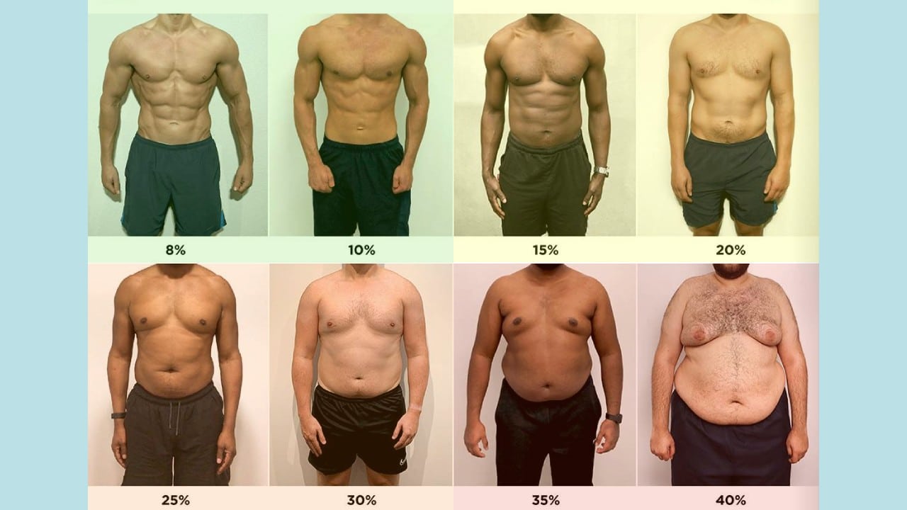Understanding The Average Body Fat Percentage A Comprehensive Guide