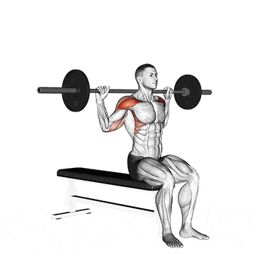 Behind the Neck Press