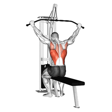 Behind-the-Neck Pulldown