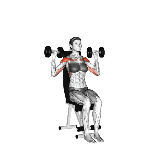 2. Seated Dumbbell Overhead Press