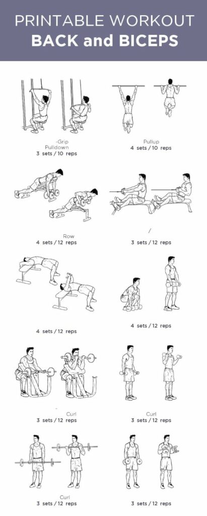 back bicep workout 1