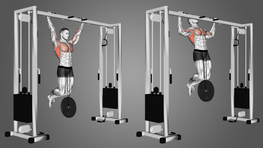 Weighted Pull-Ups