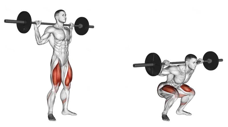 How To Perform the Back Squat
