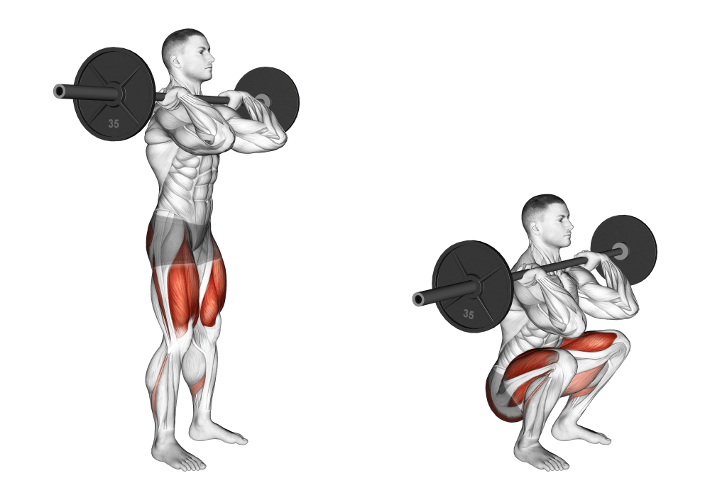 How To Perform The Front Squat