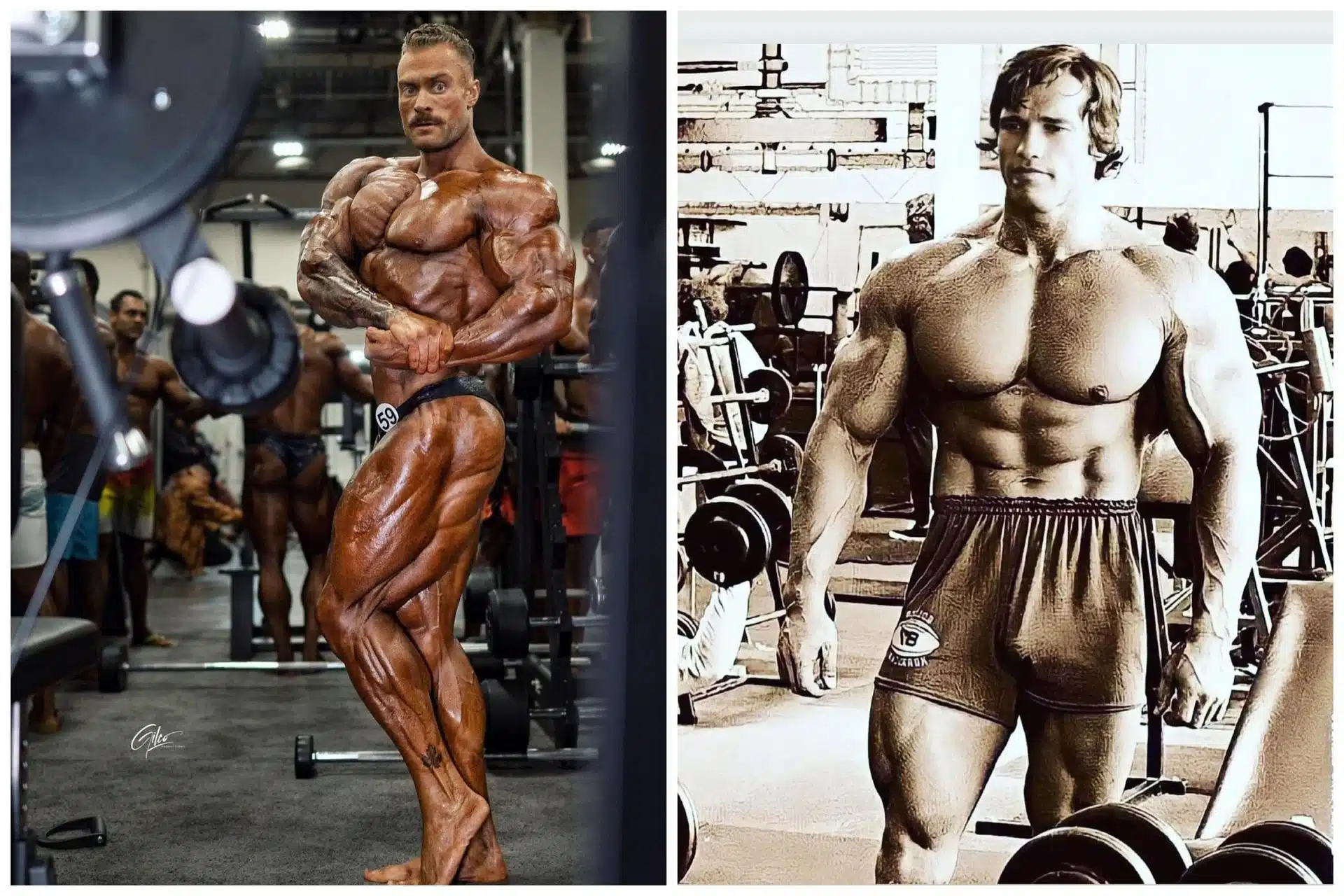 Chris Bumstead vs. Arnold Schwarzenegger A Fantasy Contest That Could