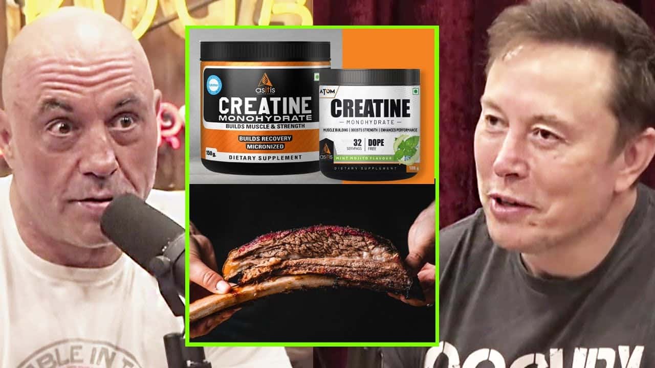 carnivore-diet