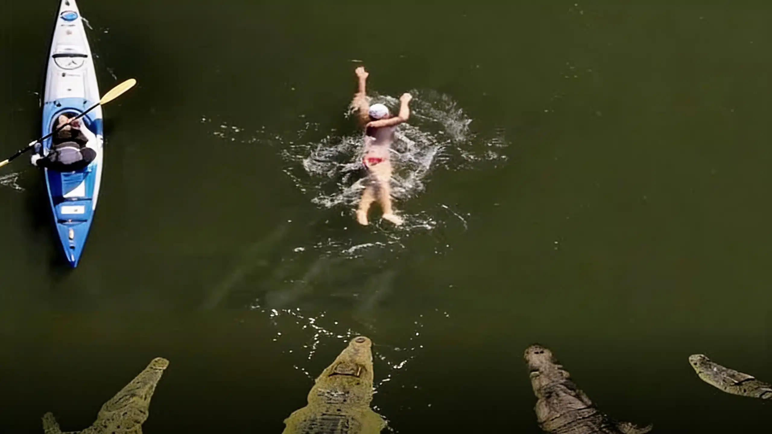 fifty-five-kilometer-crocodile-river-swim