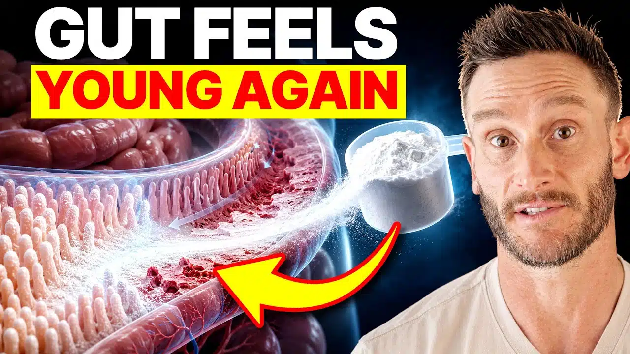 white-powder-gut-lining-repair-breakthrough