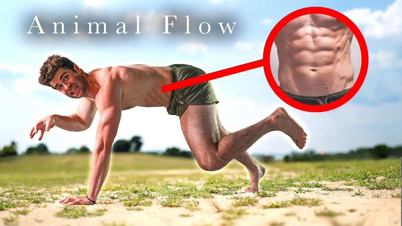 animal-flow-month-of-stronger-core-joints