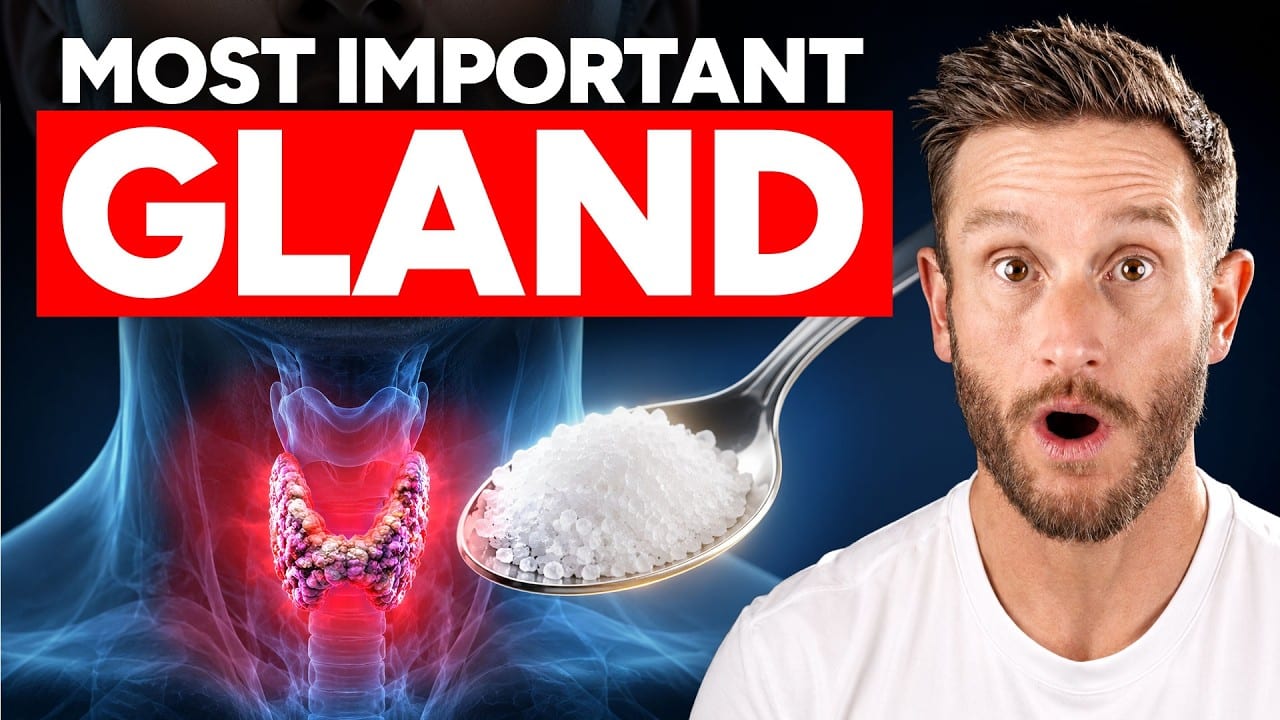 essential-nutrients-for-thyroid-conversion