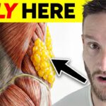 unlock-hormone-enzyme-belly-fat-switch