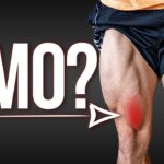 vmo-isolation-myth-real-knee-pain-fix