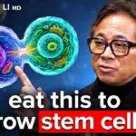 chocolate-blueberries-mushrooms-boost-stem-cells-immunity