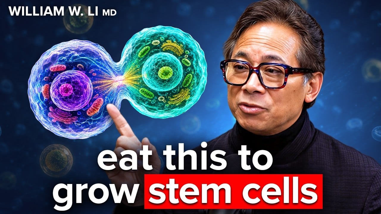 chocolate-blueberries-mushrooms-boost-stem-cells-immunity