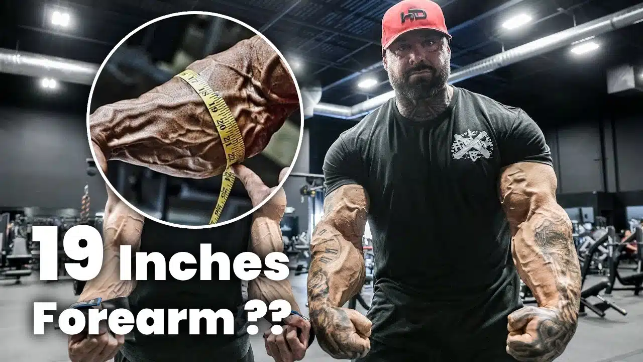 forearms-total-strength-percentile-breakdown