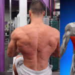 build-a-v-shape-torso-with-three-exercises
