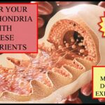 five-nutrients-immune-mitochondria-repair-formula