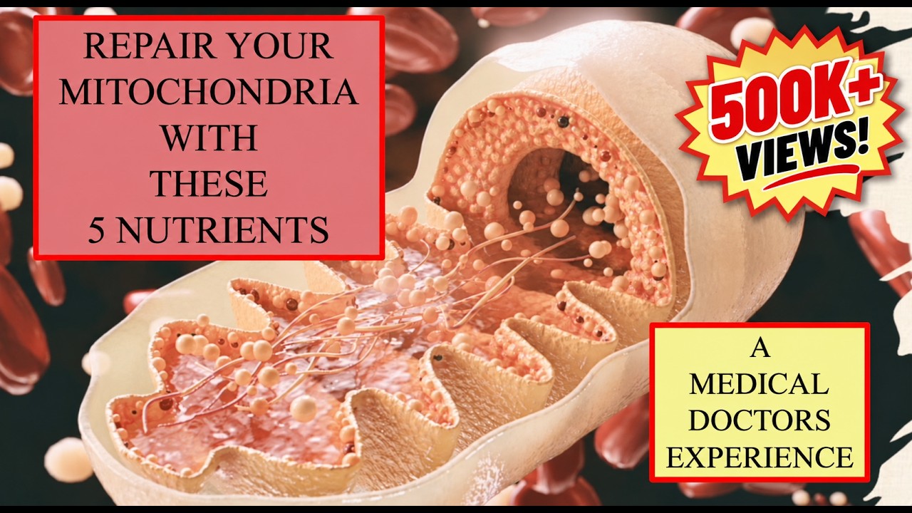 five-nutrients-immune-mitochondria-repair-formula
