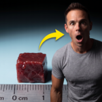 chicken-vs-beef-liver-energy-timing-guide